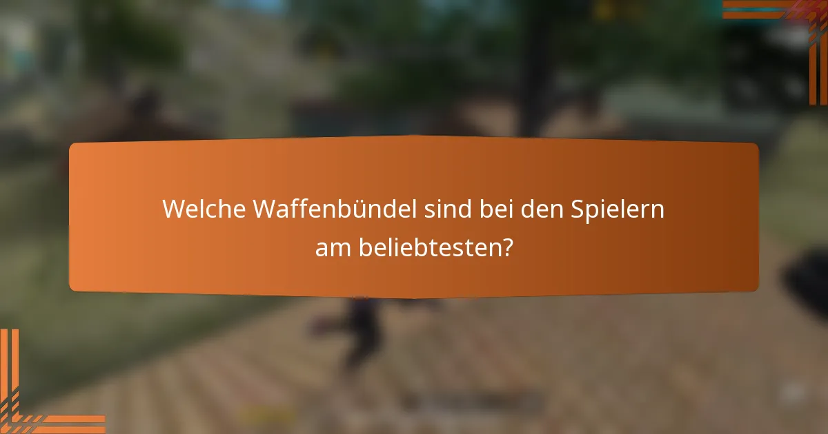 Welche Waffenbündel sind bei den Spielern am beliebtesten?